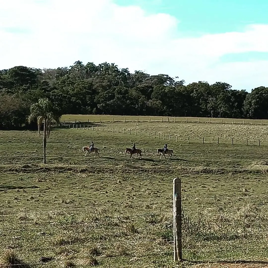 Equus - Refugio Da Ilha Villa Florianópolis 0*,