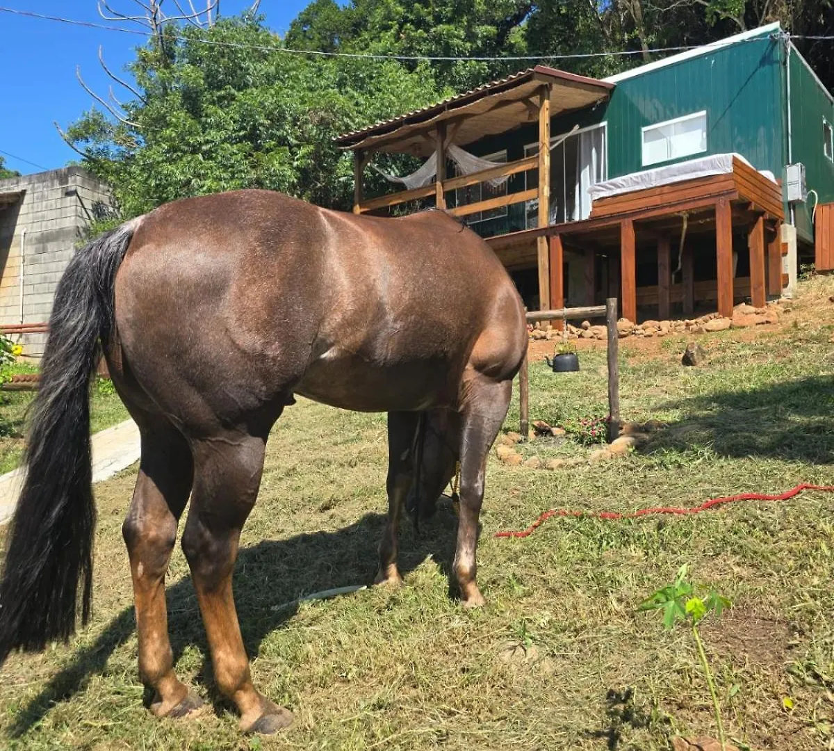 Equus - Refugio Da Ilha Villa Florianópolis