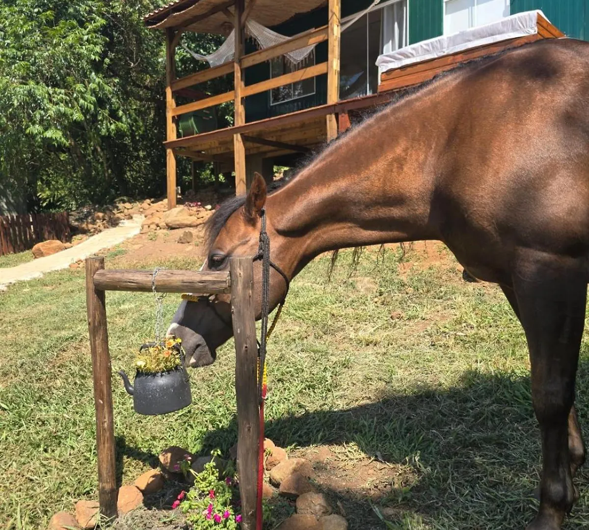 Alpehytte Equus - Refugio Da Ilha Villa Florianópolis